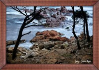 /album/fotogaleria-fotos-marinas/mg-3566-inpixio-640x480-jpg/